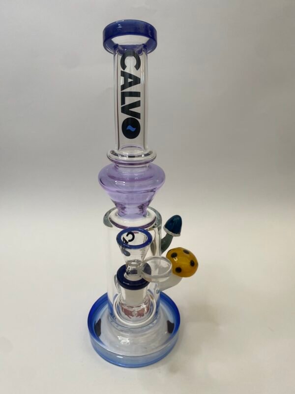 Double Fungus Rig Azul Calvo Glass