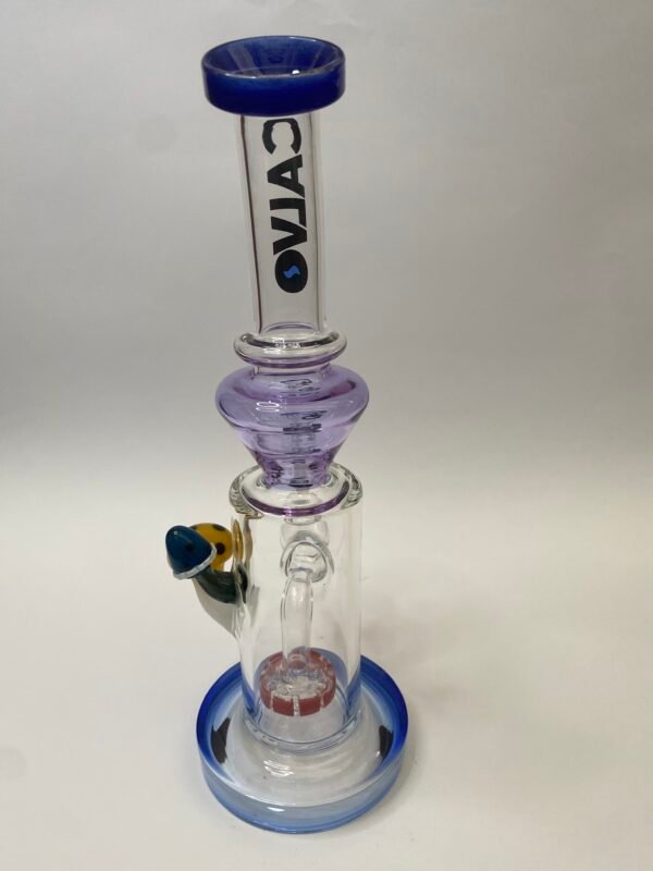 Double Fungus Rig Azul Calvo Glass
